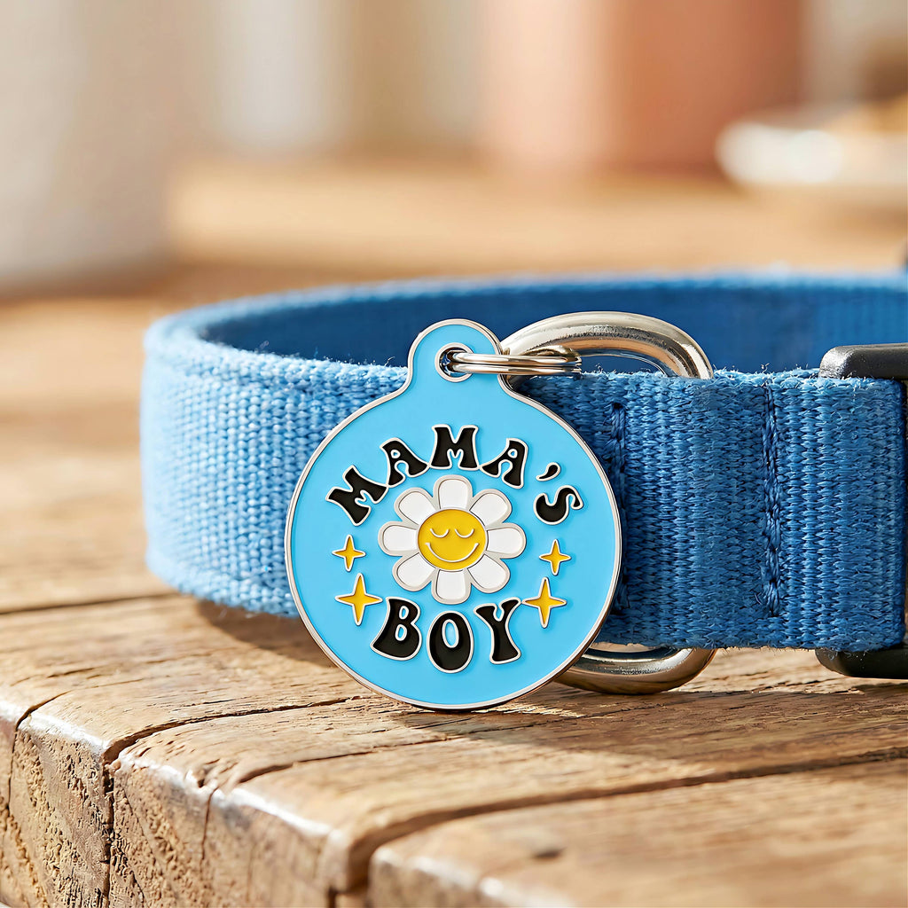 Cute Pet Tag & Dog Collar Charm - Mama's Boy *Blue