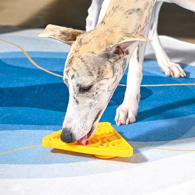 HugSmart Pet - Dog Bowl Pet lick mat | Pizza Slow Feeder