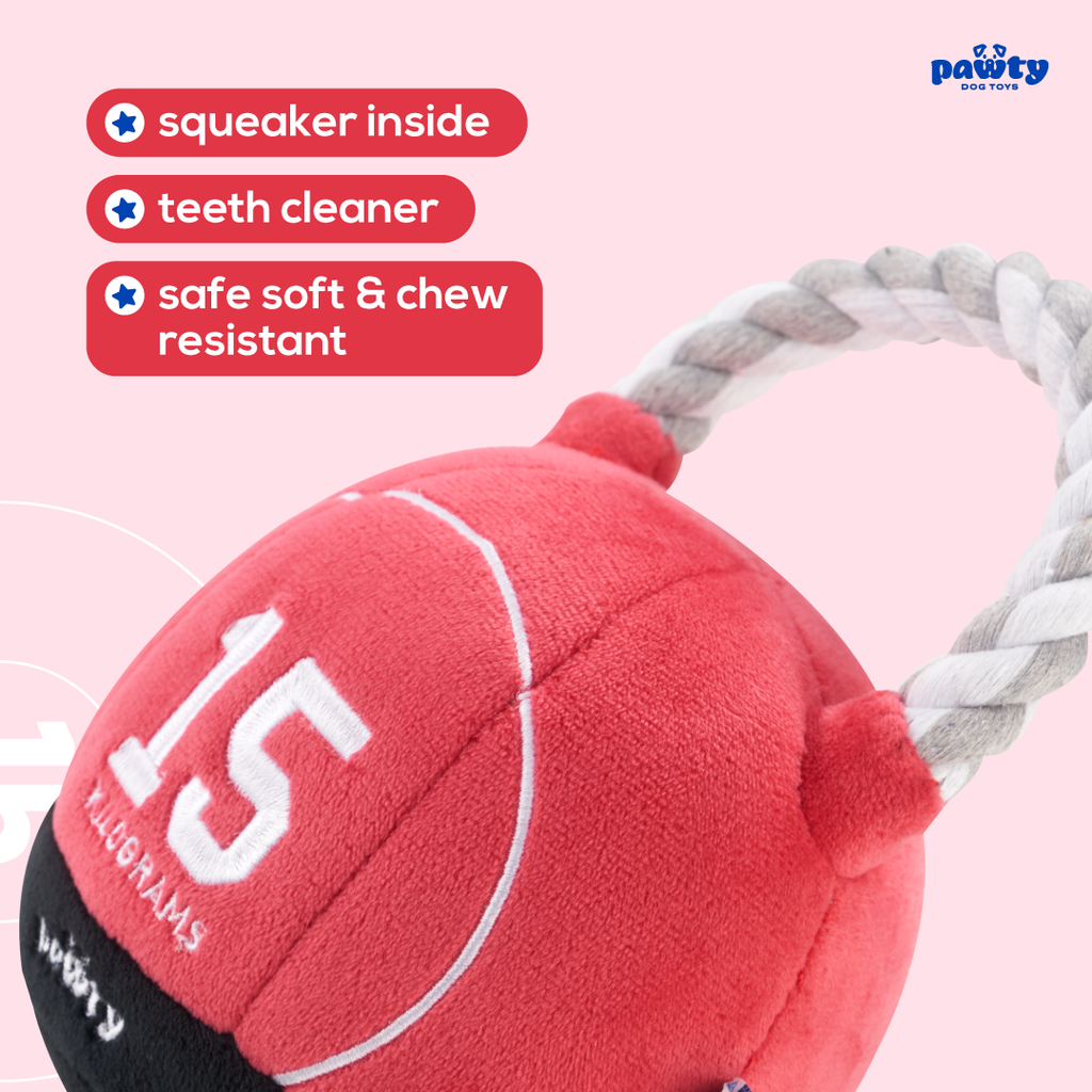 Kettlebell