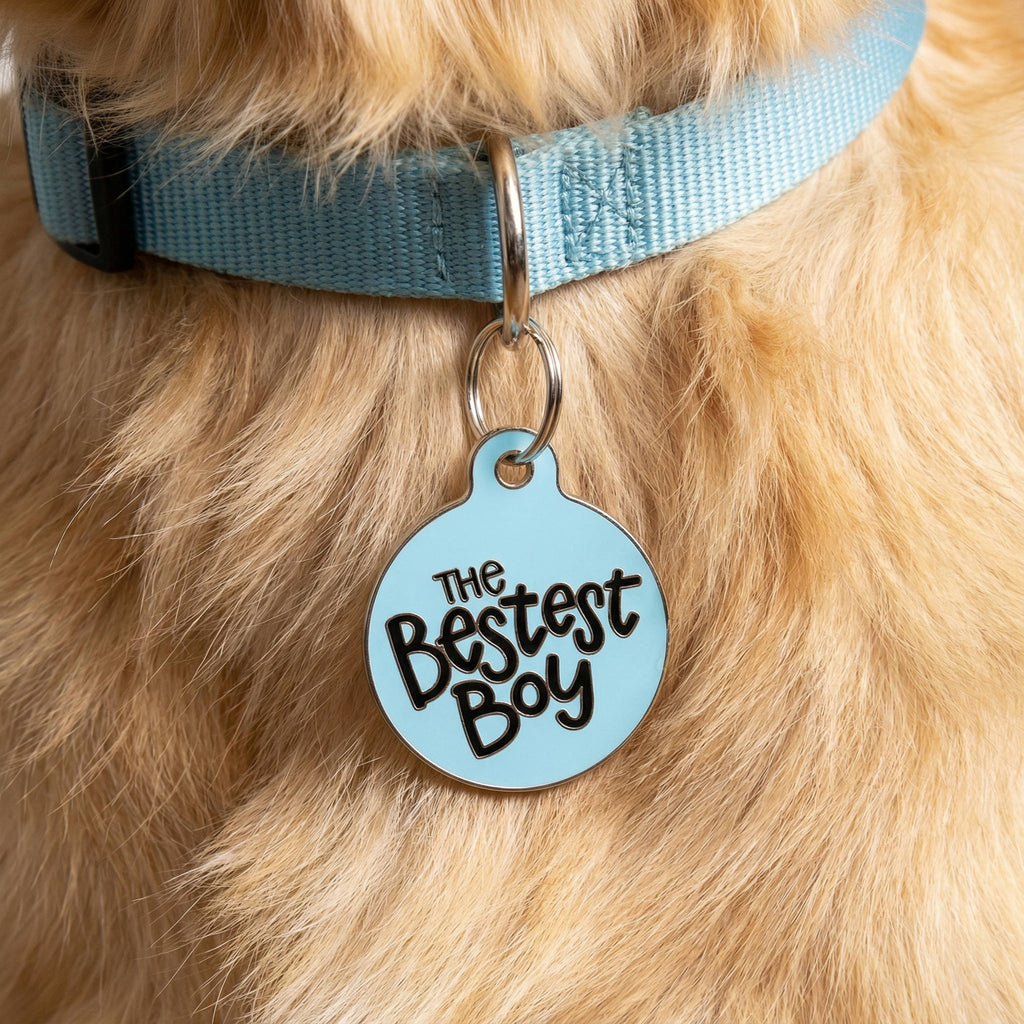 Cute Dog Tag Charm & Pet ID Tag - The Bestest Boy