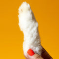 Rabbit Feet - Freeze-Dried Treat/Chew for Dogs & Cats