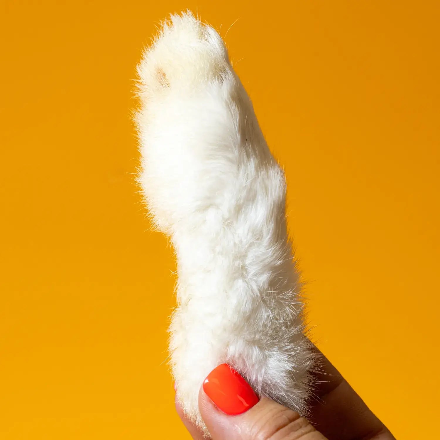 Rabbit Feet - Freeze-Dried Treat/Chew for Dogs & Cats