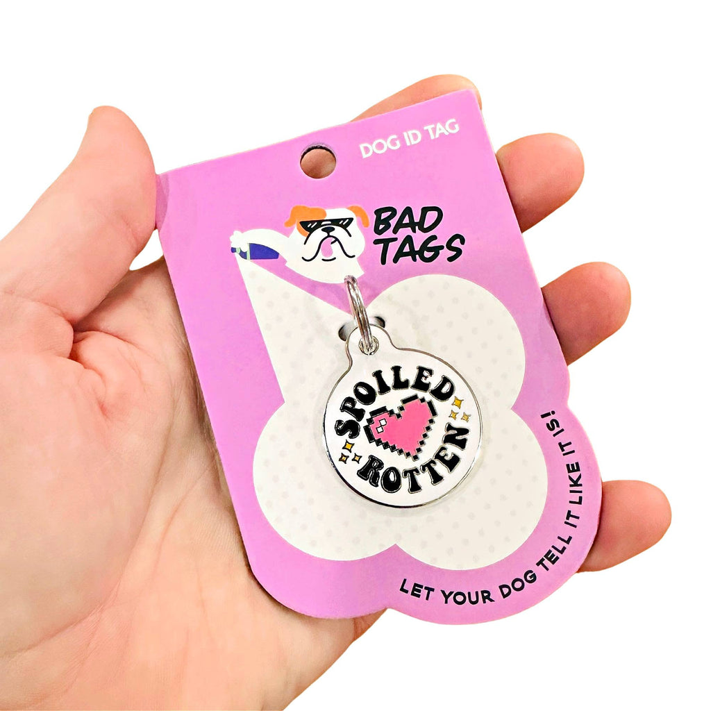 Cute Pet Tag & Dog Collar Charm - Spoiled Rotten 