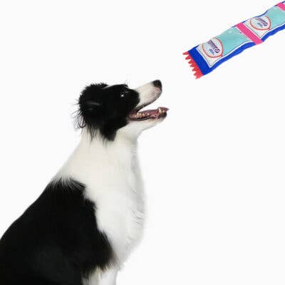 HugSmart Pet - Super Firehose | Gummy Bear - Dog Tough Toy