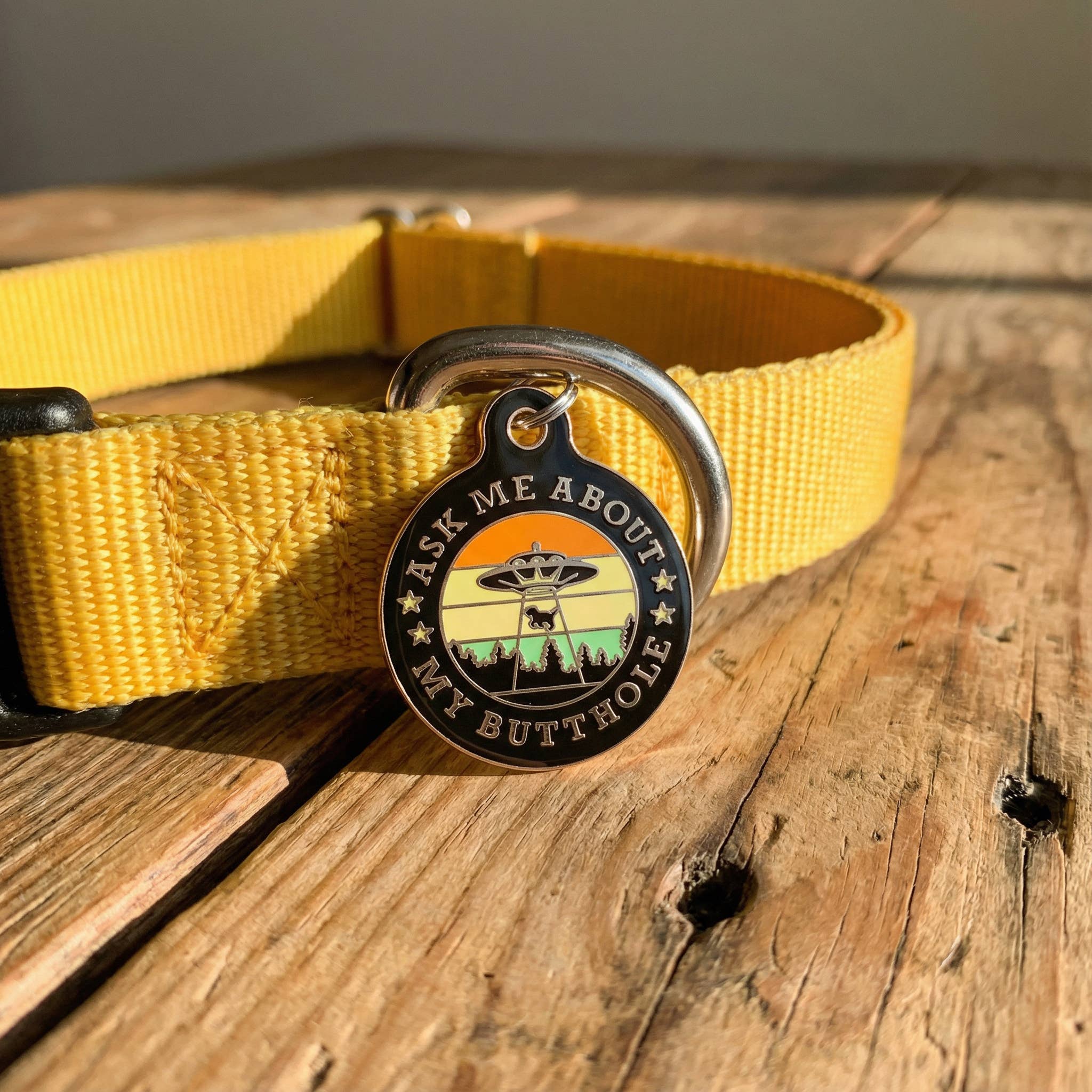 Funny Dog Charm & Pet ID Accessory - Ask About my Butthole