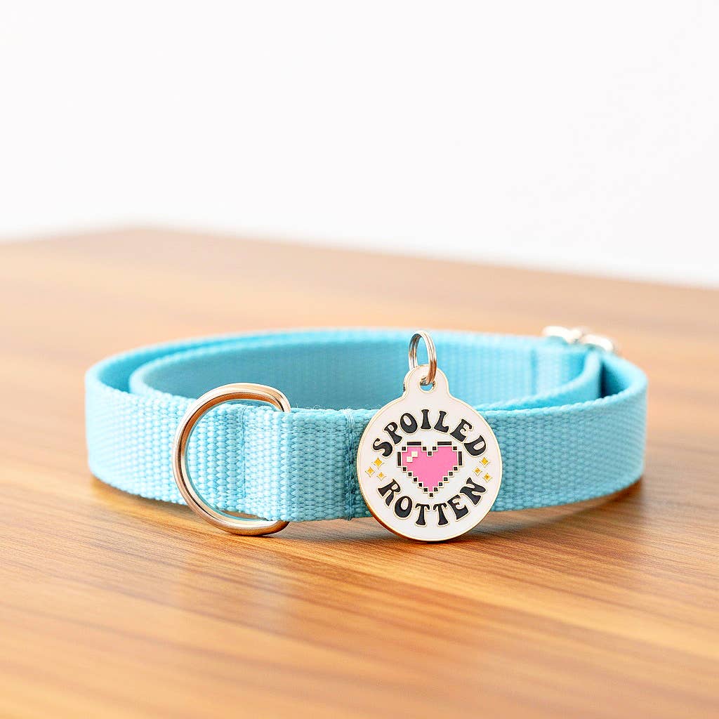 Cute Pet Tag & Dog Collar Charm - Spoiled Rotten 