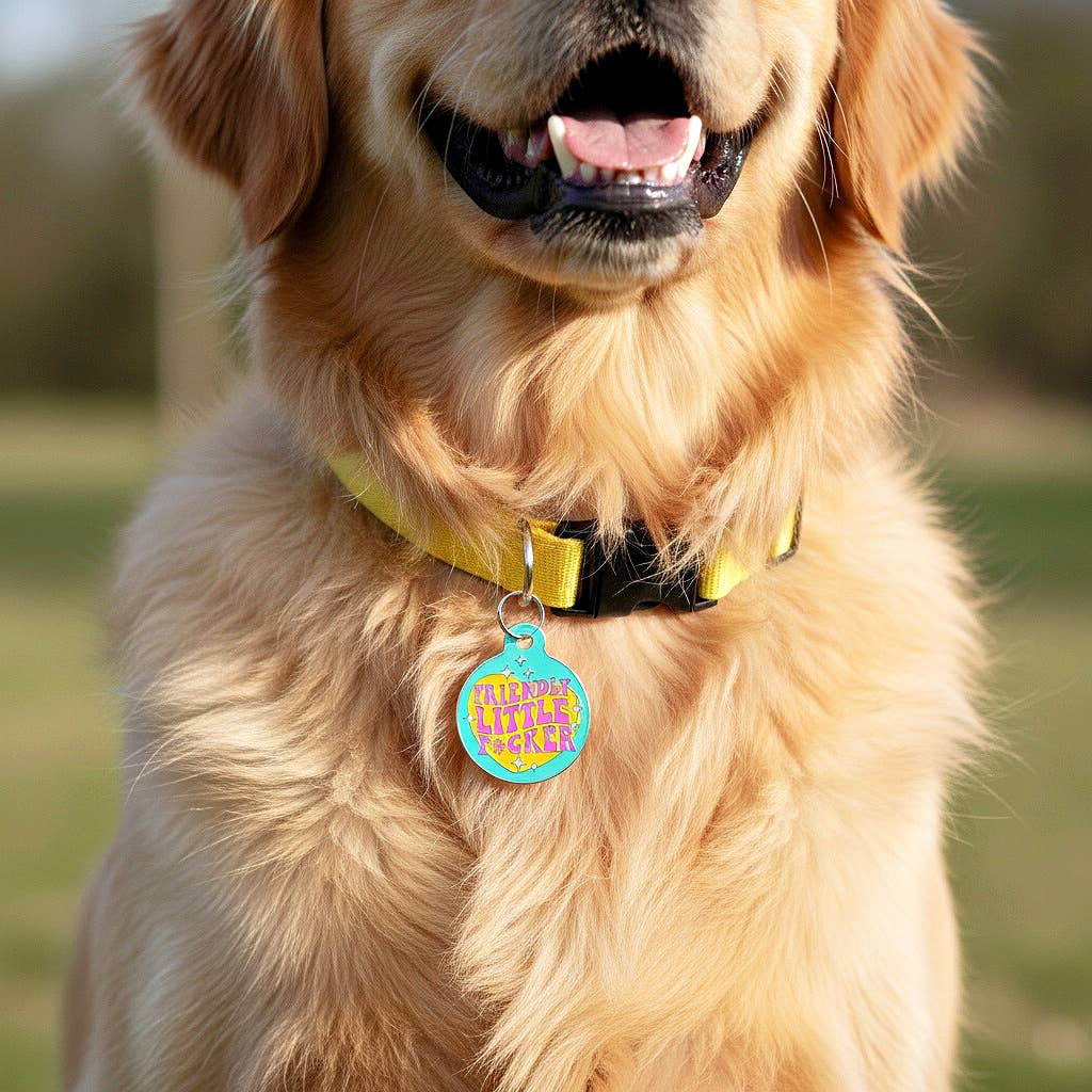 Funny Dog Charm & Pet ID Tag - Friendly Little F*cker