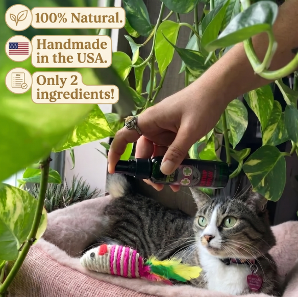Smokey's Stash Catnip Spray 2oz Bottle