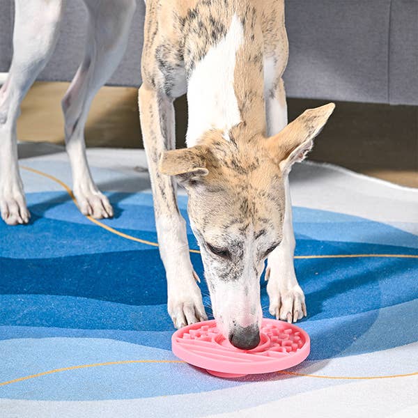 HugSmart Pet - Dog Bowl Pet lick mat | Donut Slow Feeder