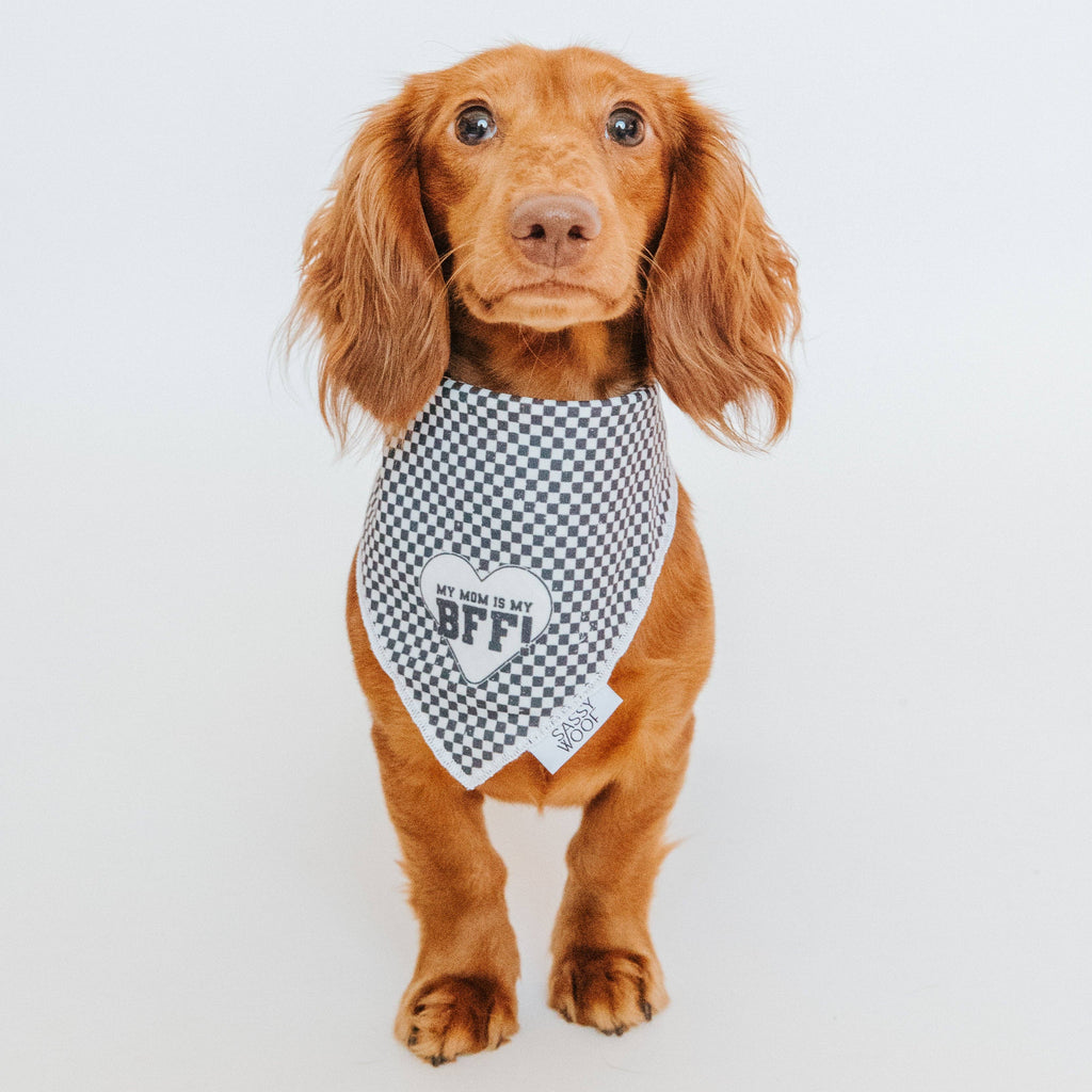 Dog Bandana - My Mom is my BFF