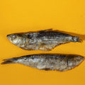 Sardines - 5" to 7" in - Freeze-Dried Dog & Cat Treat