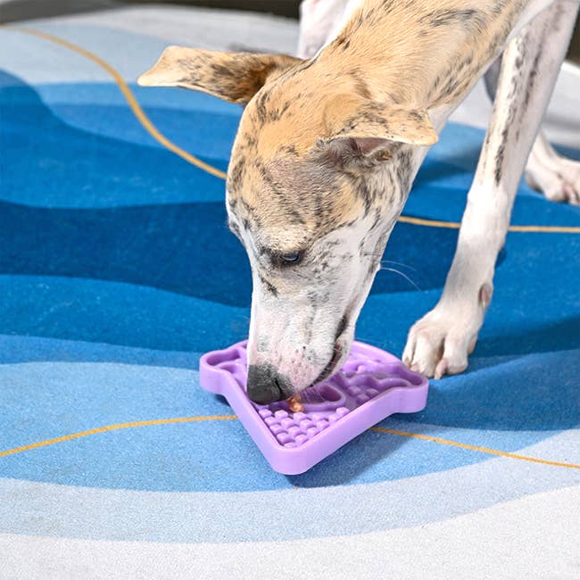 HugSmart Pet - Dog Bowl Pet lick mat | Ice-cream slowfeeder