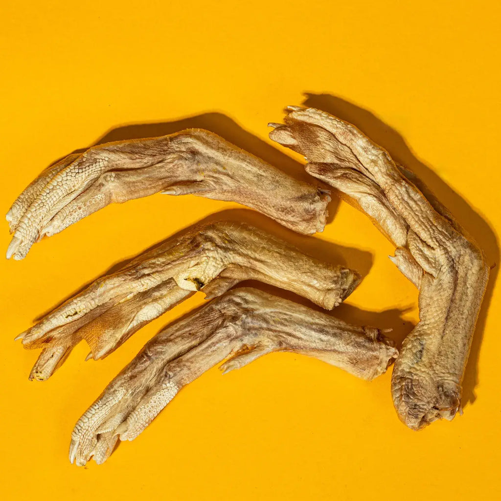 Duck Feet - Freeze-Dried Treat/Chew for Dogs