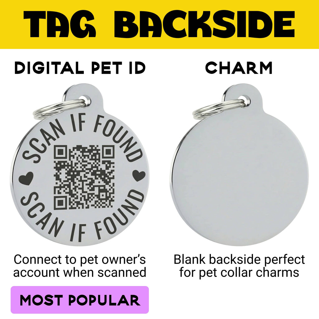 Funny Dog Charm & Pet ID Tag - Socially Impaired *Green