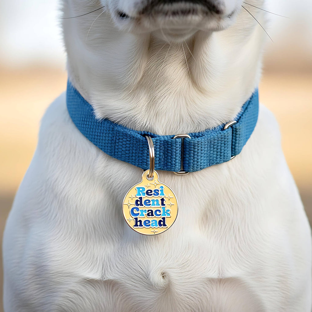 Funny Dog Tag & Pet ID Tag - Resident Crackhead *Orange