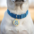 Funny Dog Tag & Pet ID Tag - Resident Crackhead *Orange - Bandithaus