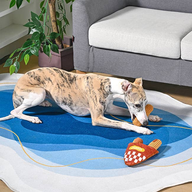 HugSmart Pet - Food Party | Churros - Interactive Toy