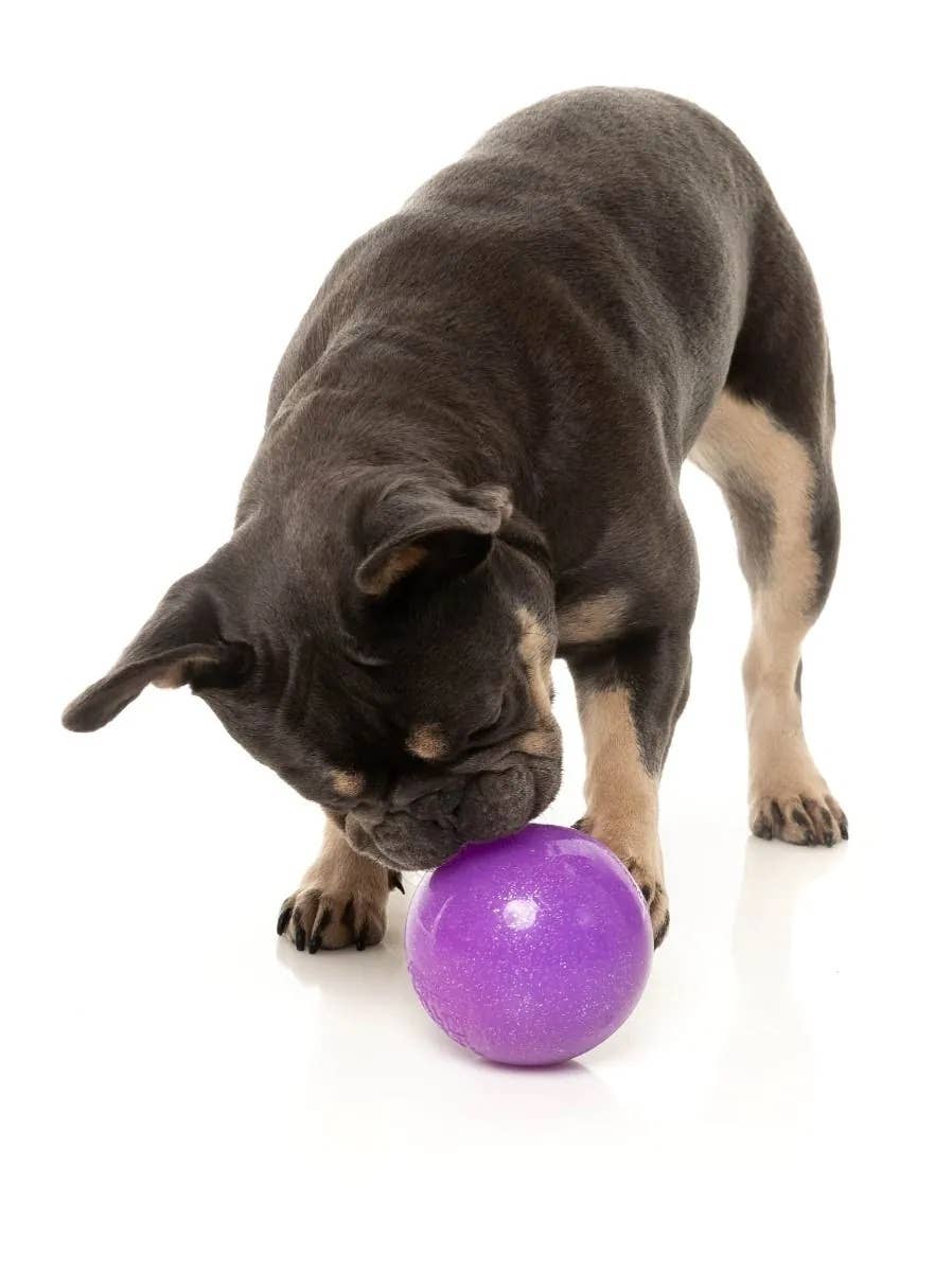 FuzzYard Truth Tellin' Treat Ball Dog Chew Toy