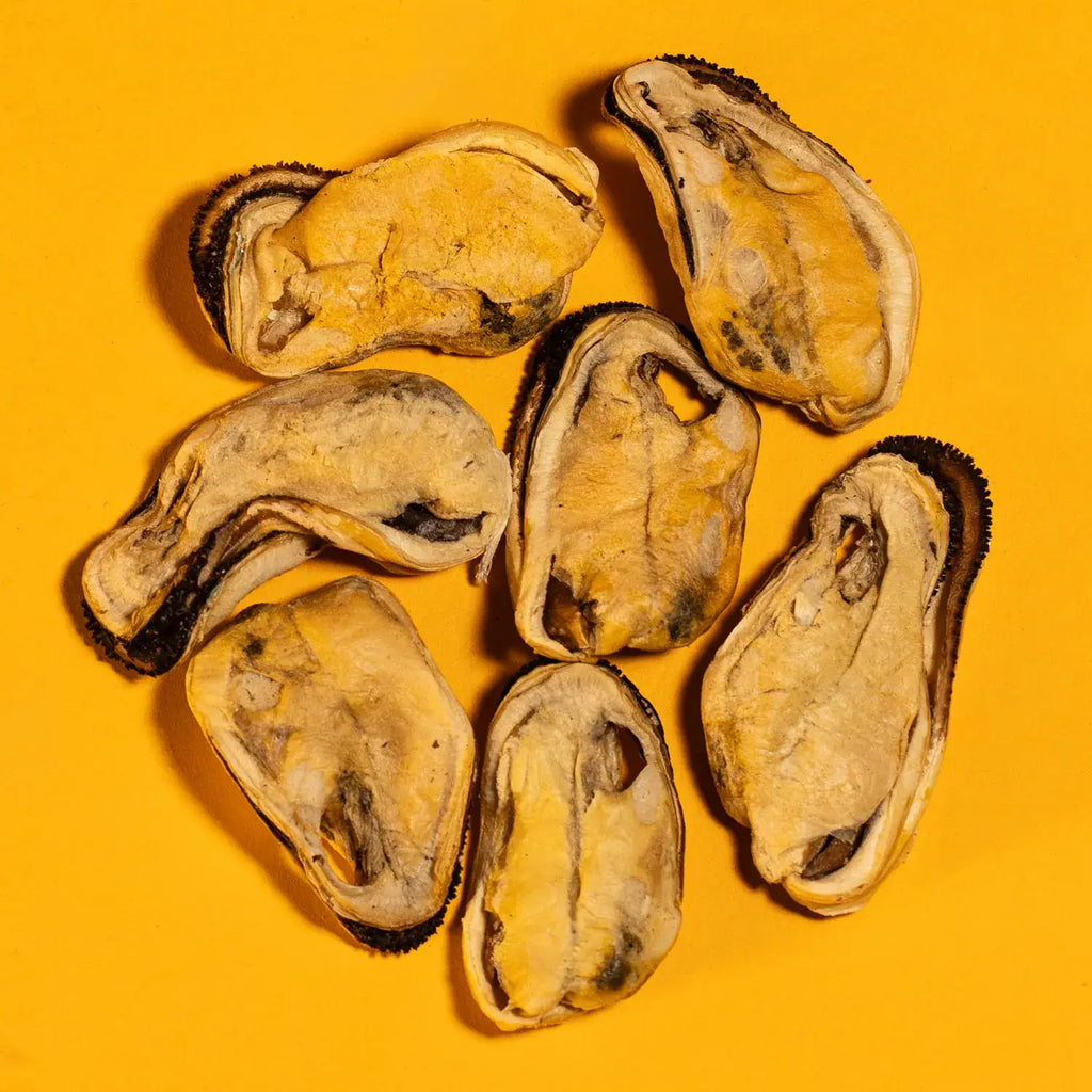 New Zealand Green-Lipped Mussel - Freeze-Dried