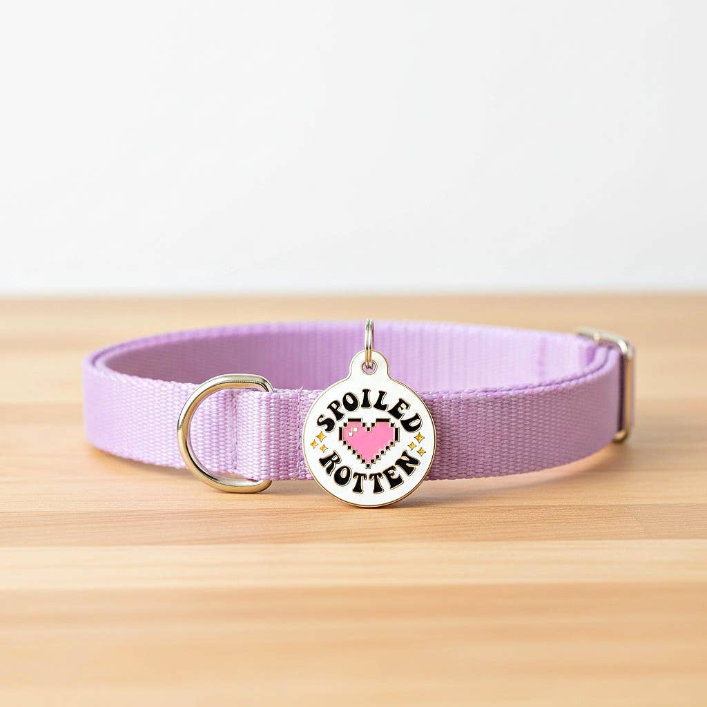Cute Pet Tag & Dog Collar Charm - Spoiled Rotten 
