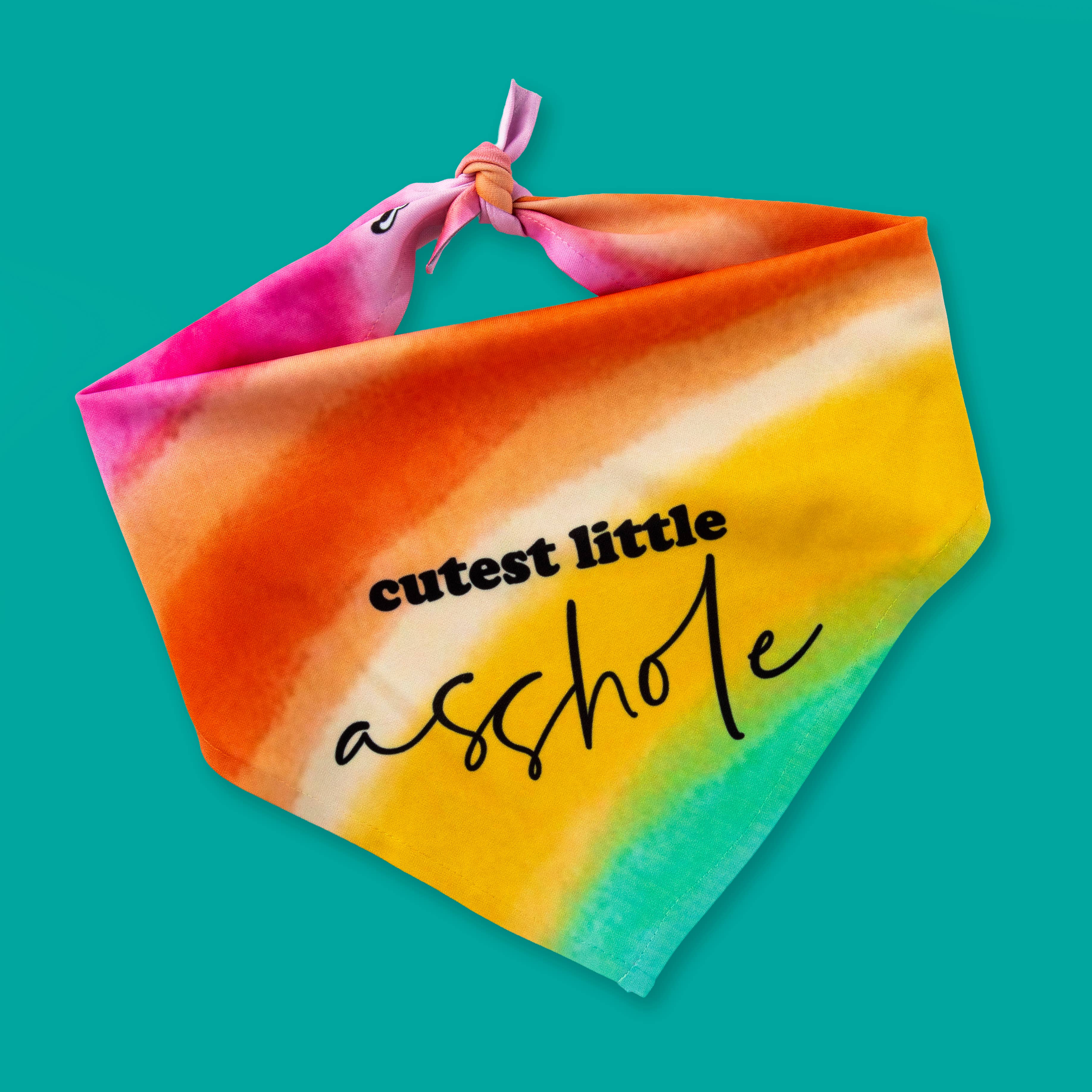 Cutest Little Asshole | Funny Dog Bandana | Tie Bandana OSFA
