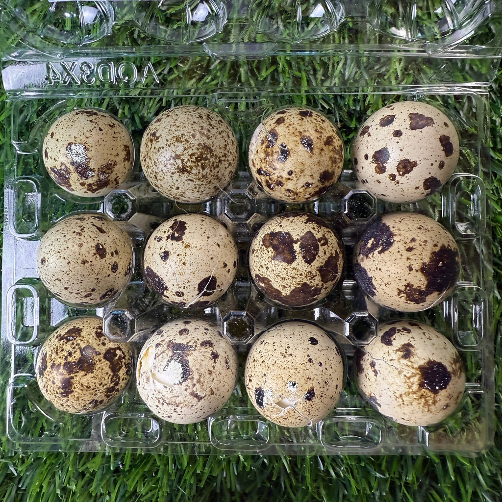 Quail Eggs - Dozen Freeze Dried - Dogs & Cat