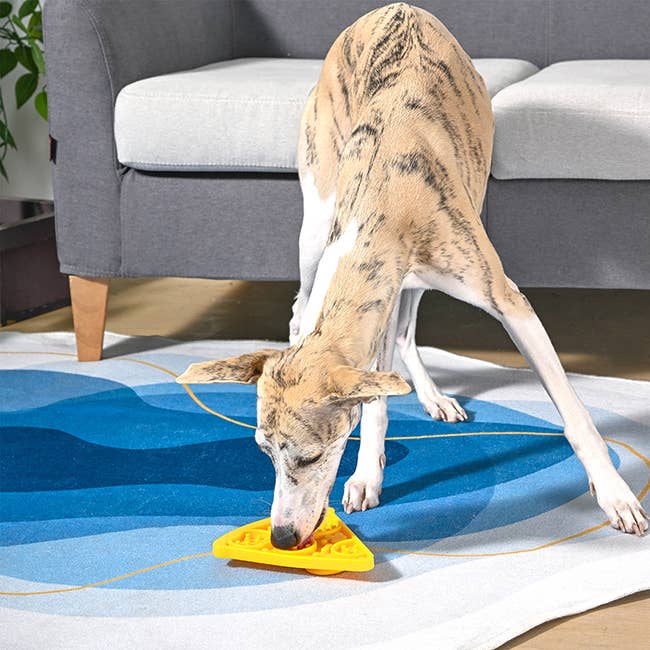 HugSmart Pet - Dog Bowl Pet lick mat | Pizza Slow Feeder