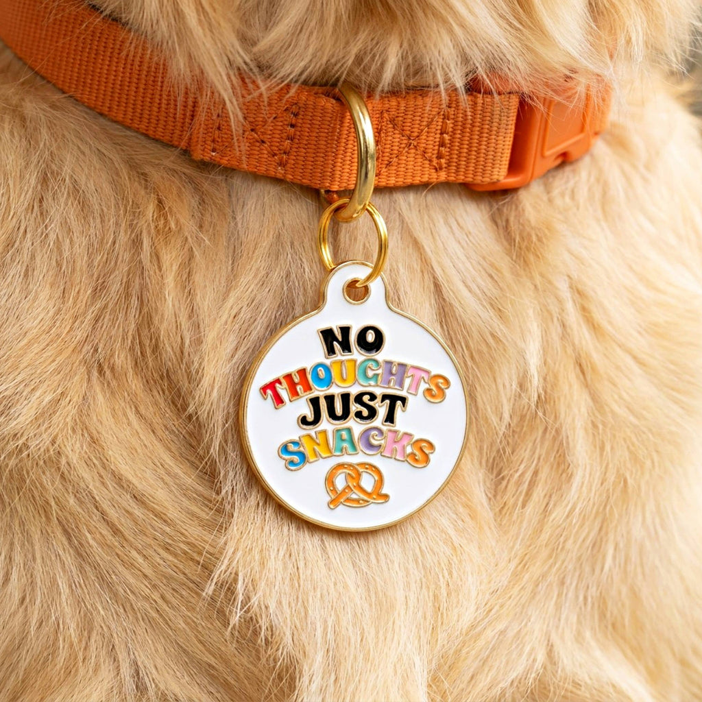 Dog Collar Charm or Pet ID Tag - No Thoughts Just Snacks