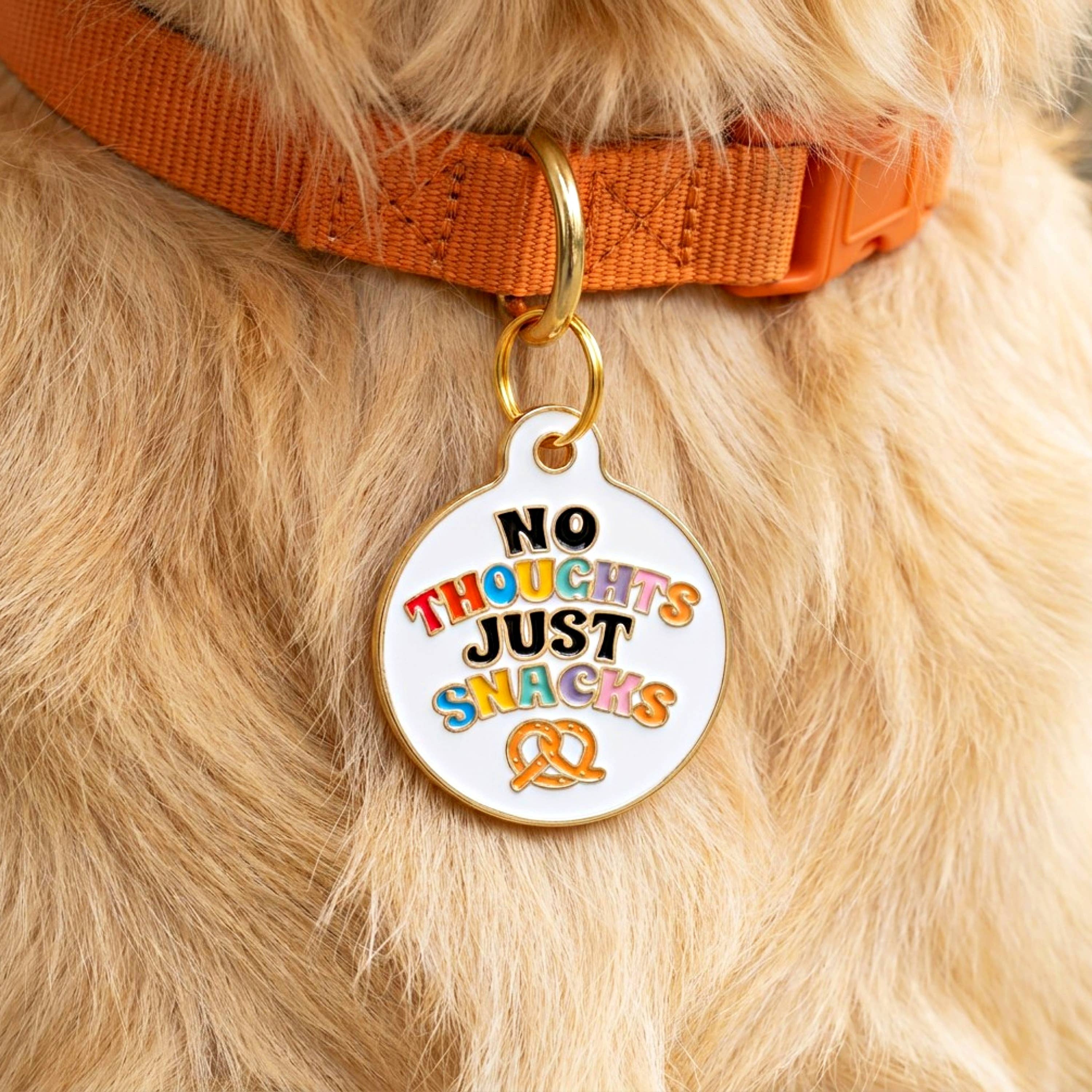 Dog Collar Charm or Pet ID Tag - No Thoughts Just Snacks