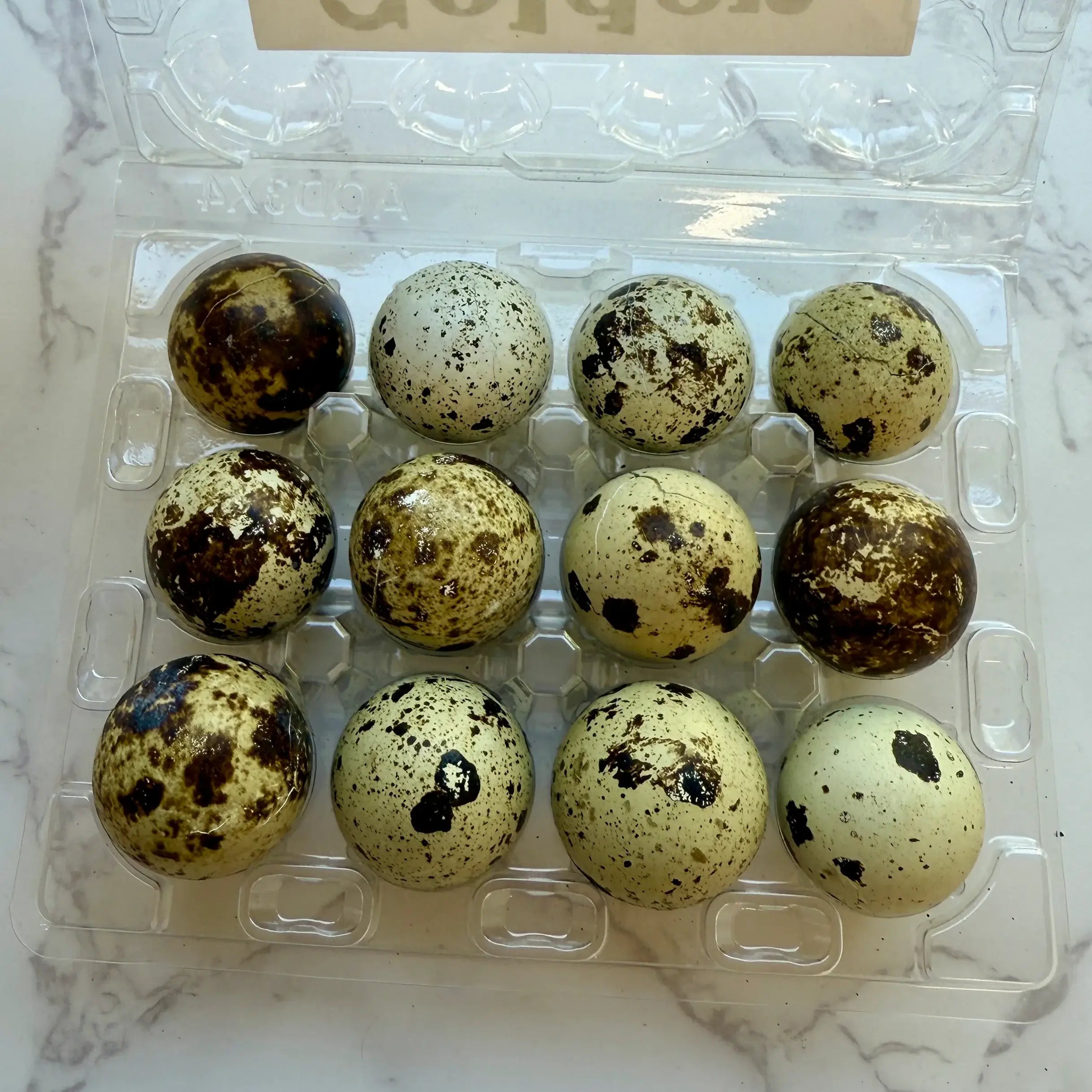 Quail Eggs - Dozen Freeze Dried - Dogs & Cat