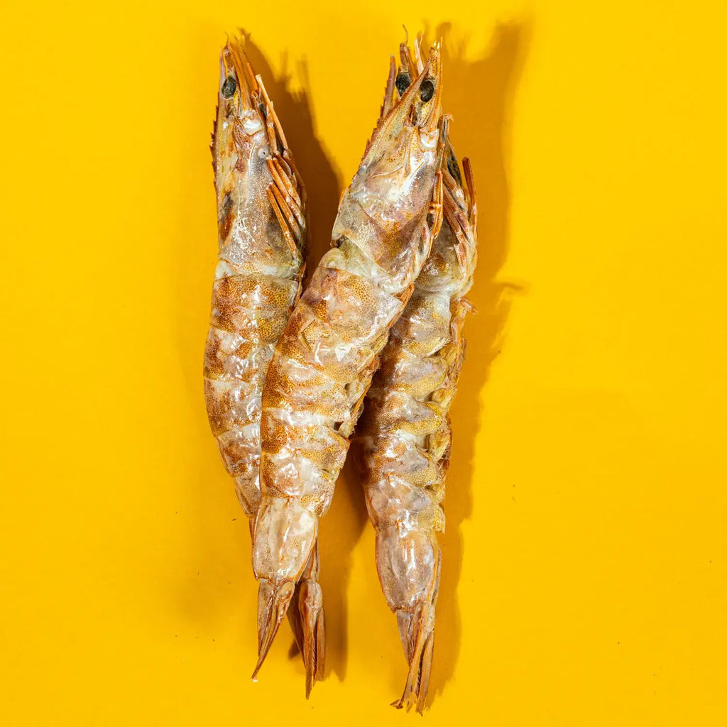 Large Prawns/Shrimp - Freeze-Dried