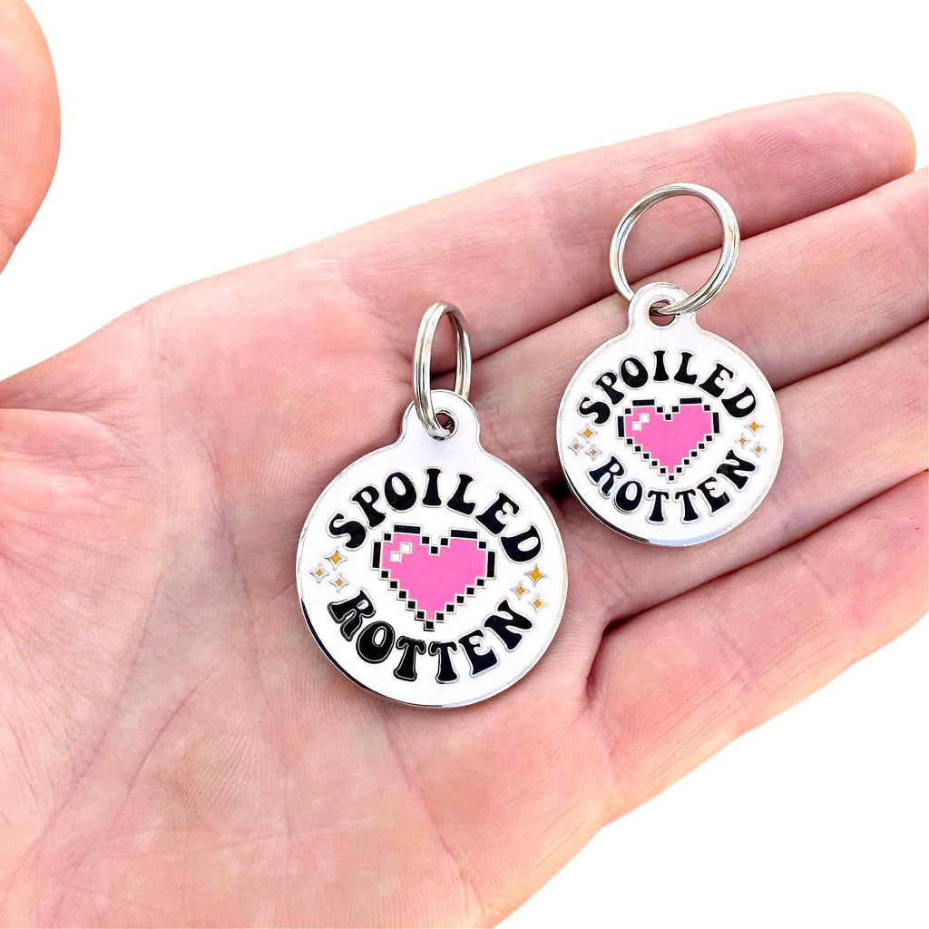 Cute Pet Tag & Dog Collar Charm - Spoiled Rotten 