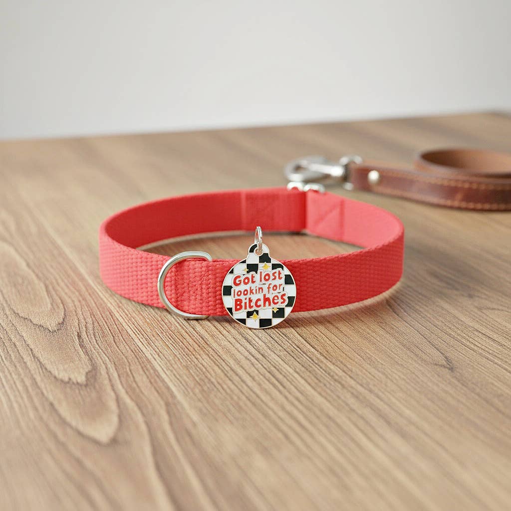 Funny Dog ID Tag & Pet Accessory - Looking for Bitches