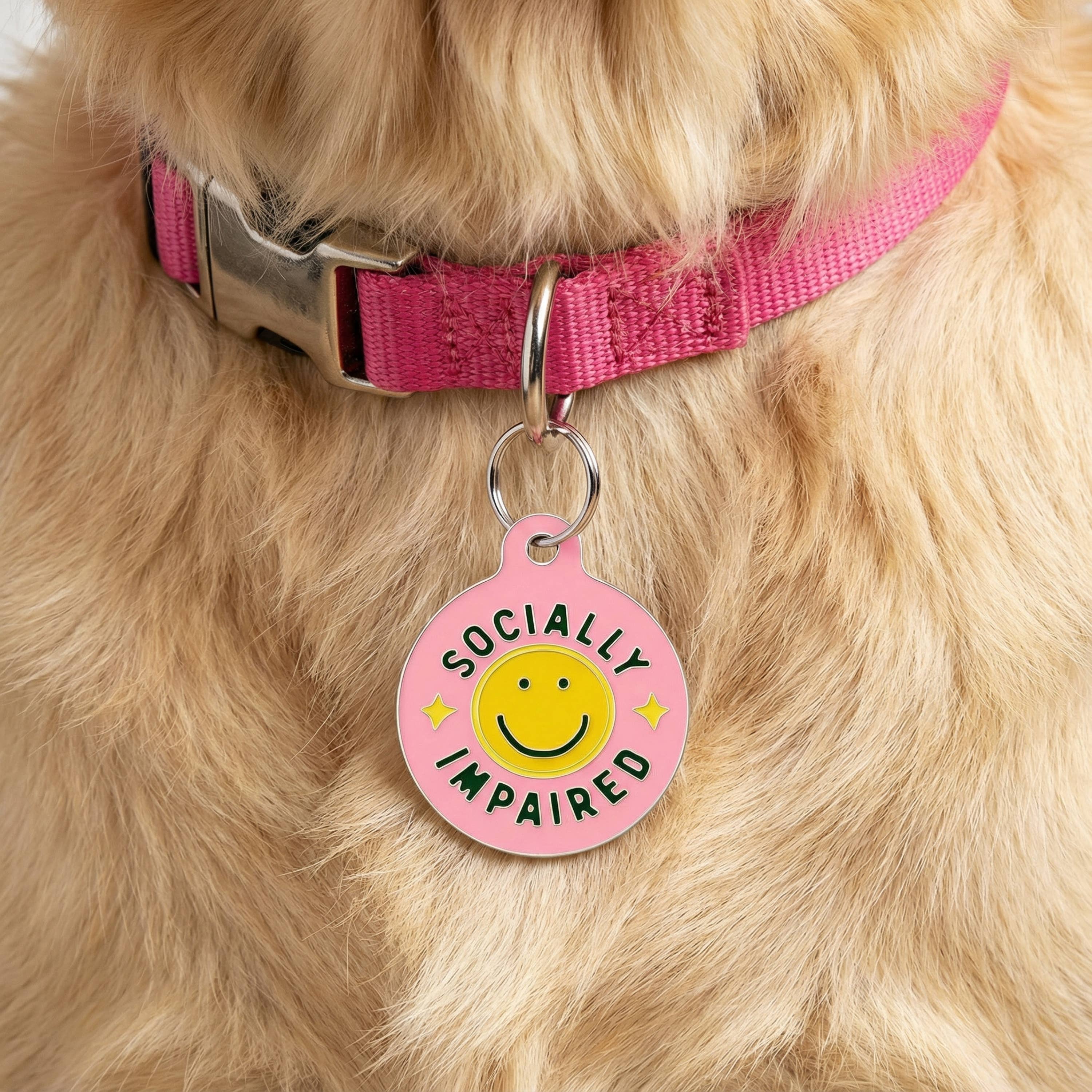Funny Dog Tag & Pet ID Collar Char - Socially Impaired *Pink
