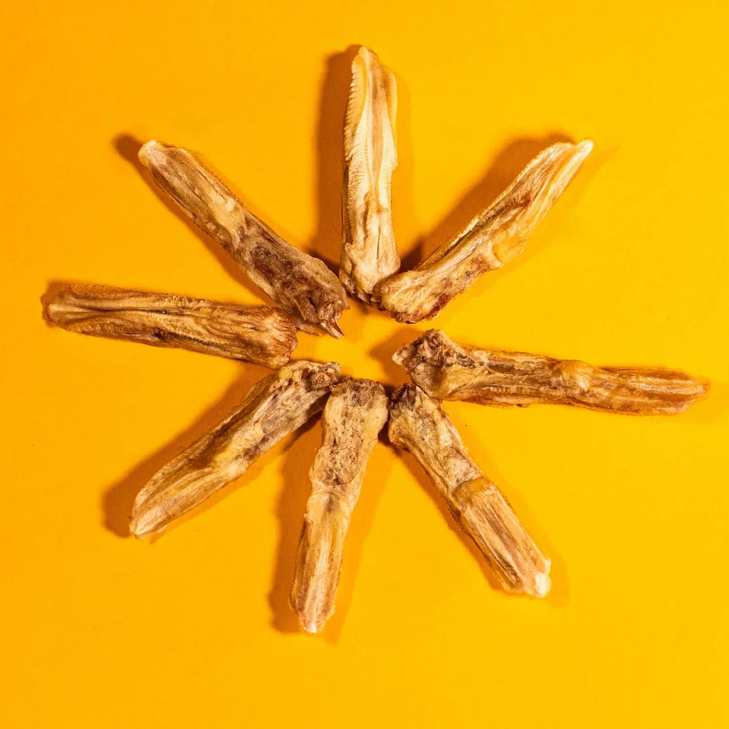 Duck Tongues - Freeze-Dried Treats for Dogs & Cats