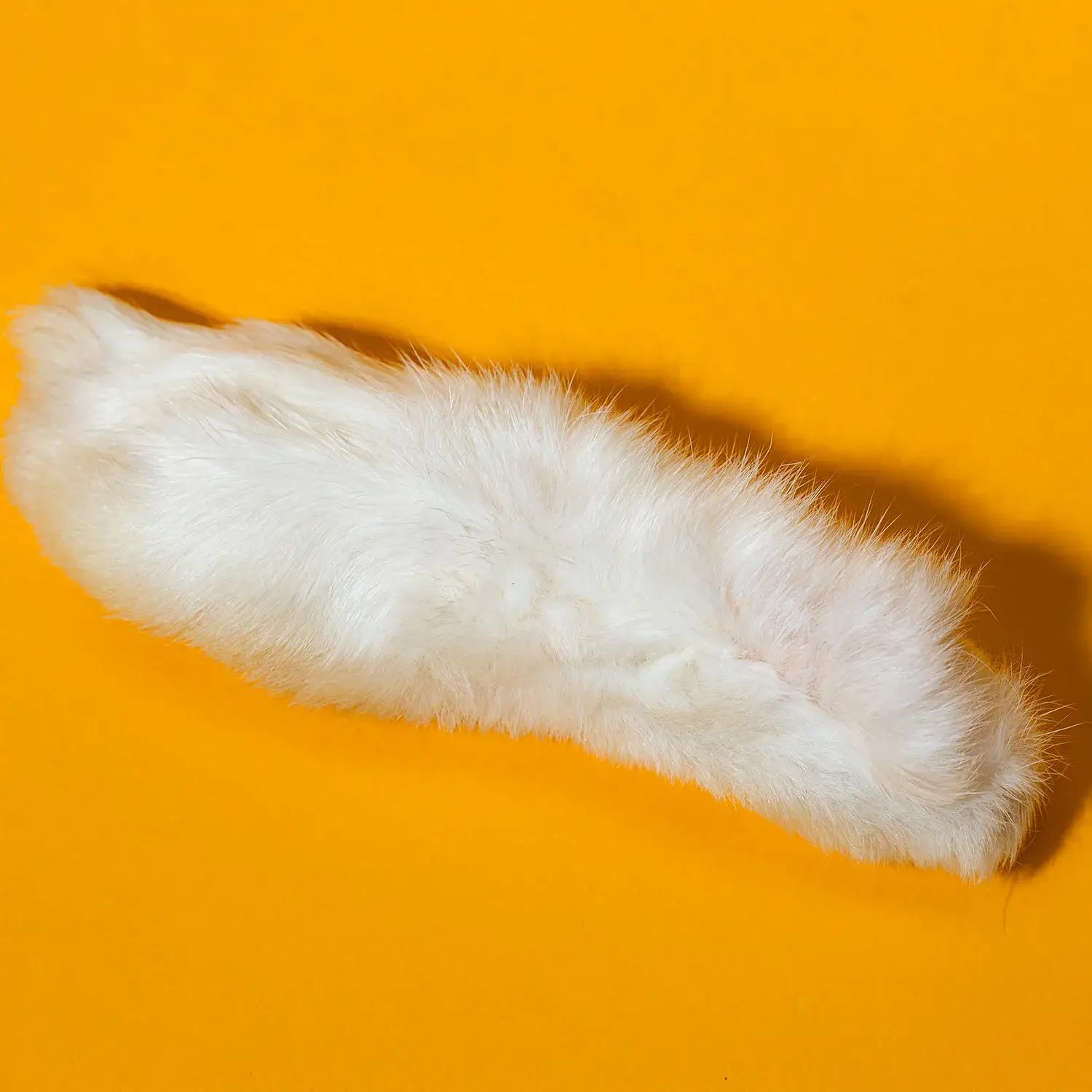 Rabbit Feet - Freeze-Dried Treat/Chew for Dogs & Cats