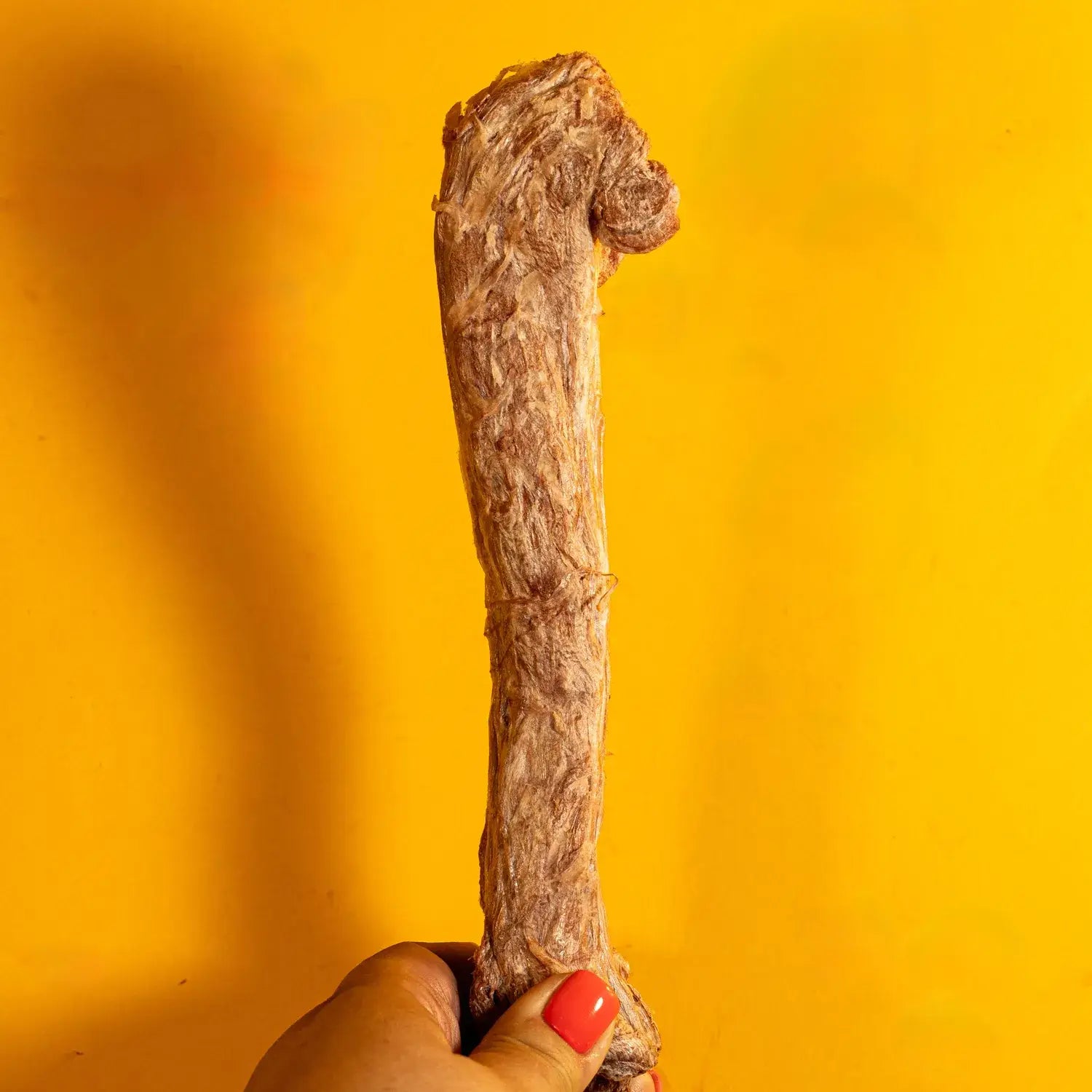 Duck Neck - Freeze-Dried Treats/Chews for Dogs