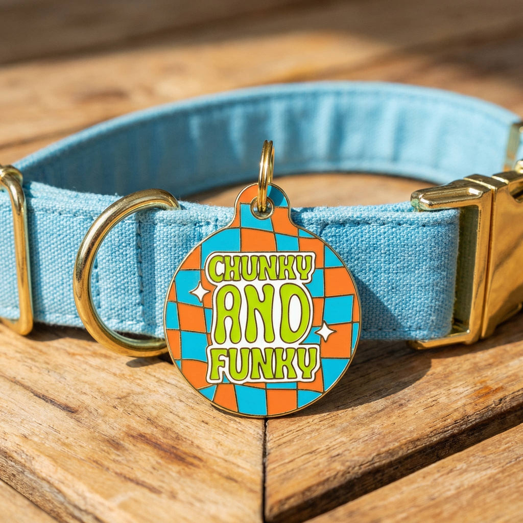 Funny Dog Charm & Pet ID Tag - Chunky & Funky