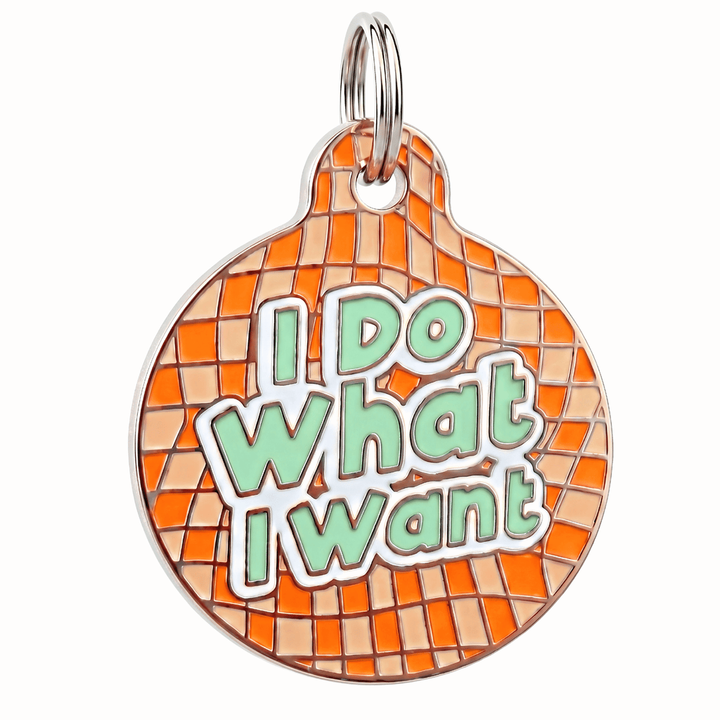 Funny Dog Tag Charm or Pet ID Tag - I Do What I Want