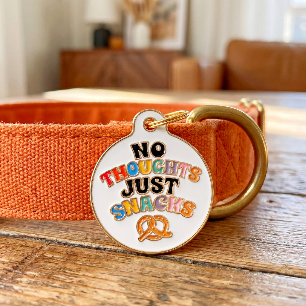 Dog Collar Charm or Pet ID Tag - No Thoughts Just Snacks