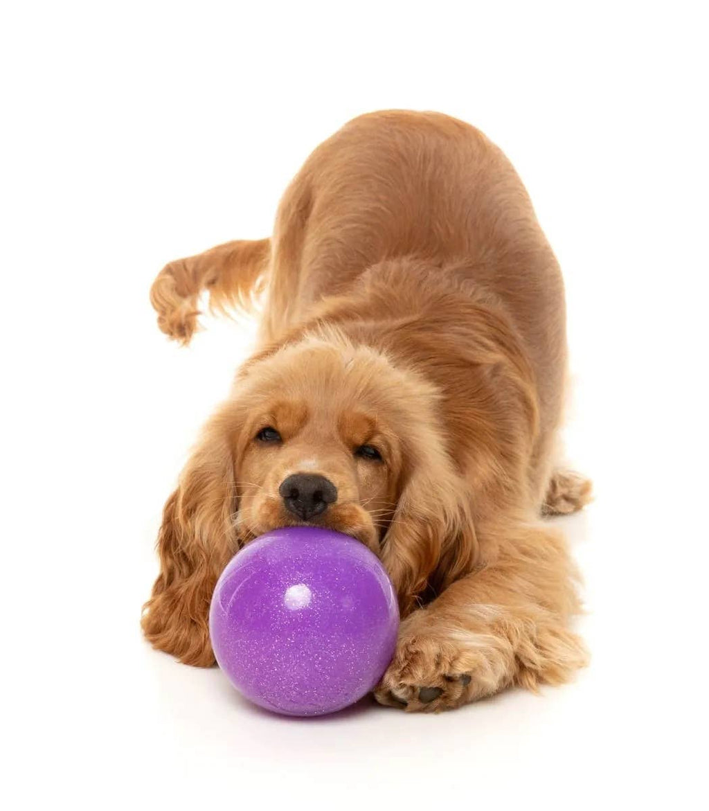 FuzzYard Truth Tellin' Treat Ball Dog Chew Toy