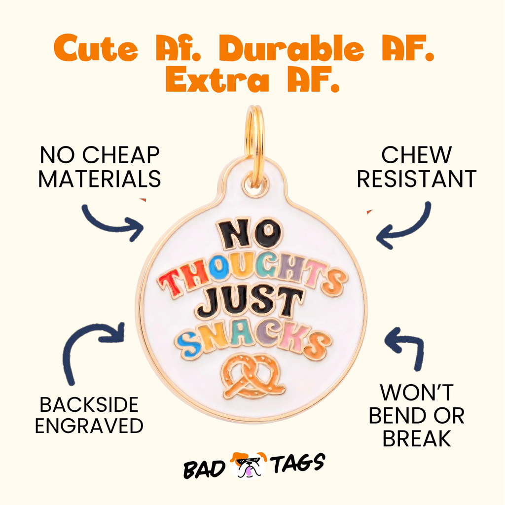 Dog Collar Charm or Pet ID Tag - No Thoughts Just Snacks