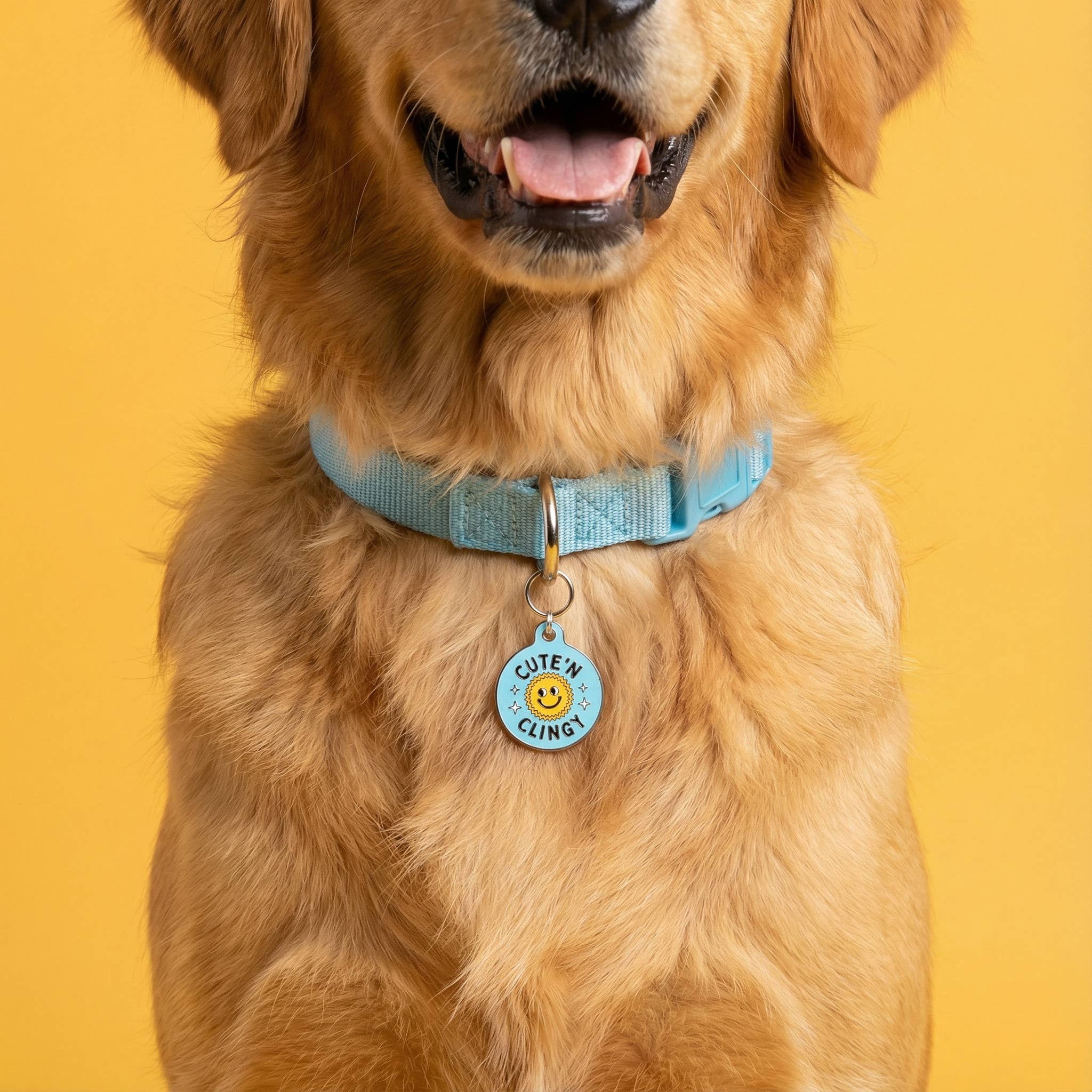 Funny Dog ID Tag & Pet Accessory - Cute 'N Clingy *Blue