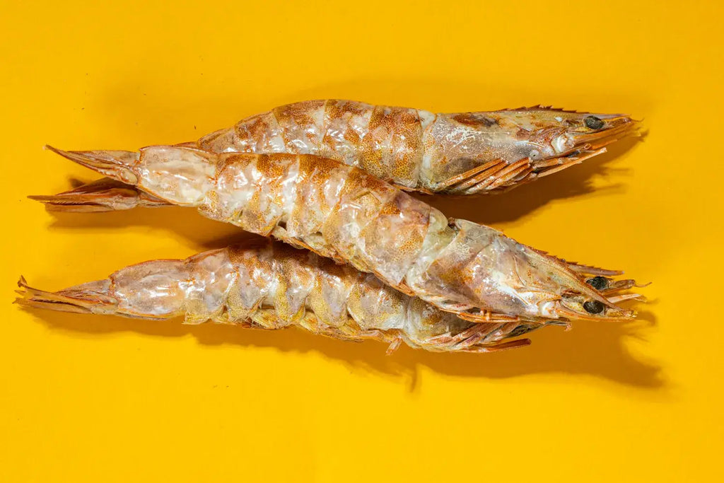 Large Prawns/Shrimp - Freeze-Dried