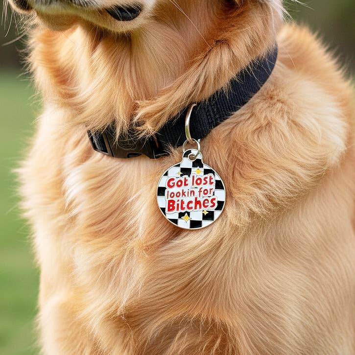 Funny Dog ID Tag & Pet Accessory - Looking for Bitches