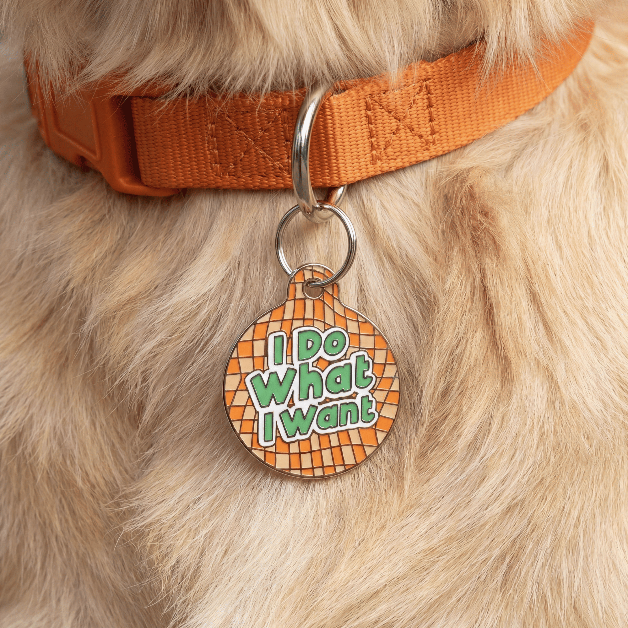 Funny Dog Tag Charm or Pet ID Tag - I Do What I Want