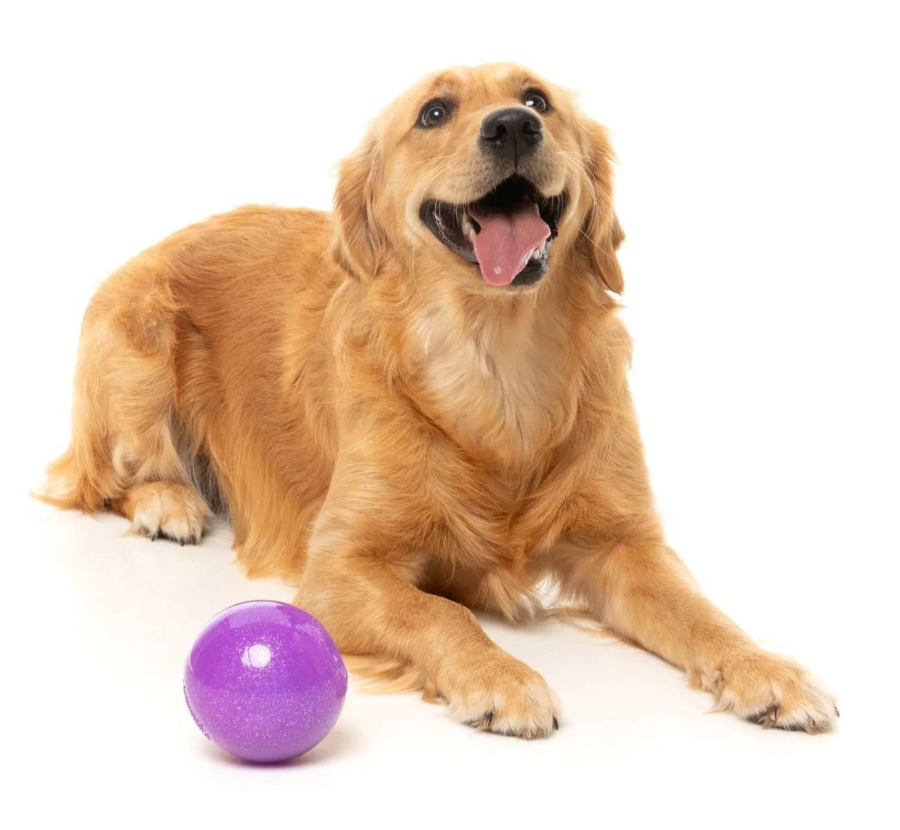 FuzzYard Truth Tellin' Treat Ball Dog Chew Toy