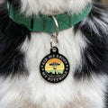 Funny Dog Charm & Pet ID Accessory - Ask About my Butthole - Bandithaus