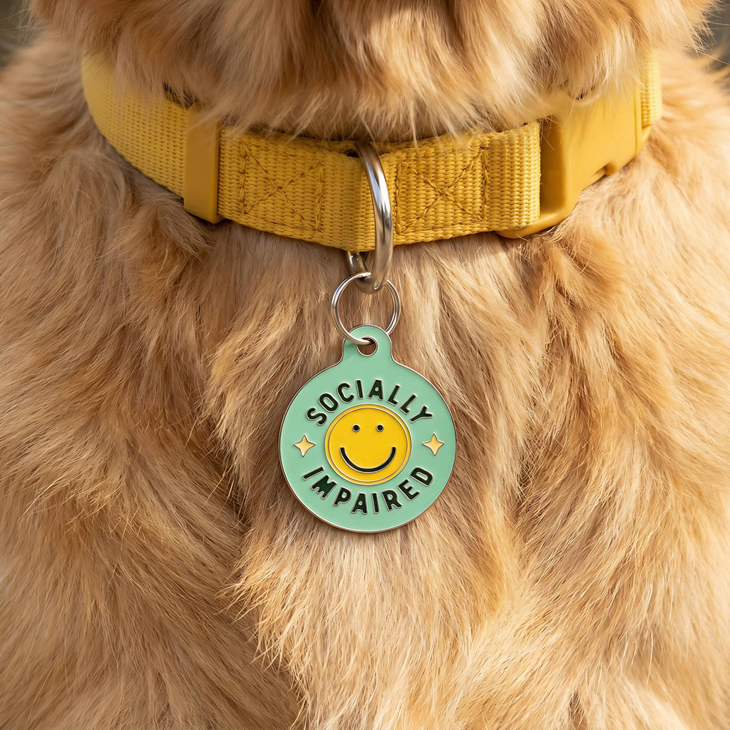 Funny Dog Charm & Pet ID Tag - Socially Impaired *Green