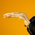 Duck Feet - Freeze-Dried Treat/Chew for Dogs